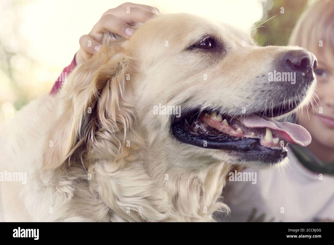 Little boy caresses his dog with sweetness Stock Photo