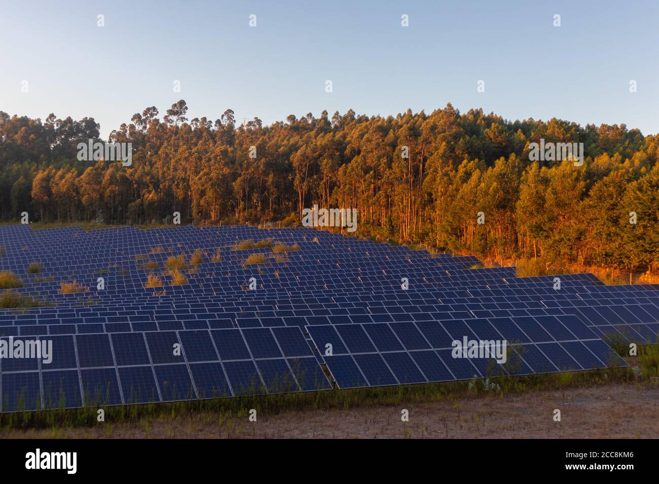 Group of solar panels during the sunset, at golden hour Stock Photo