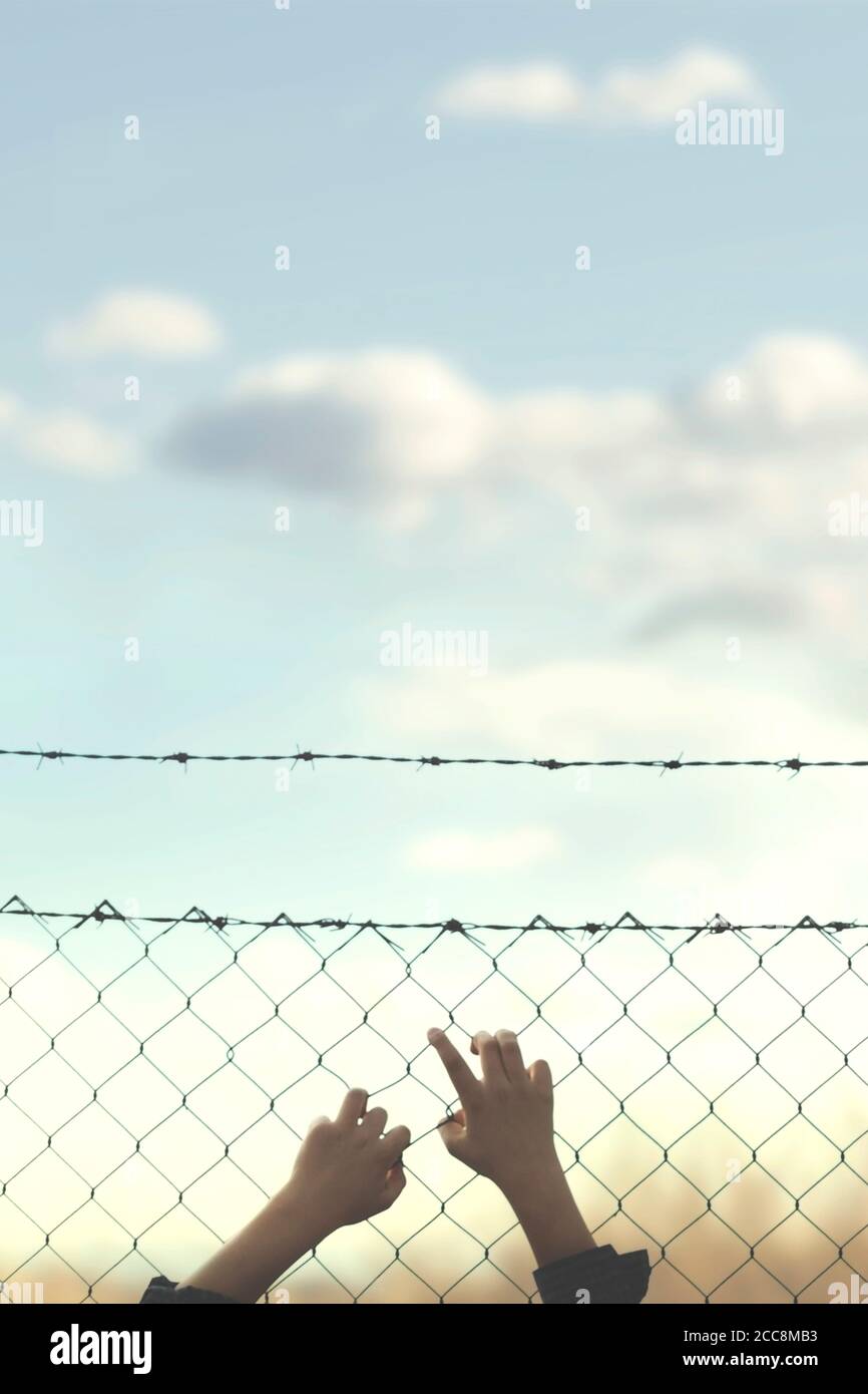 hands of a young man who cling to the hope of freedom beyond a wire mesh Stock Photo