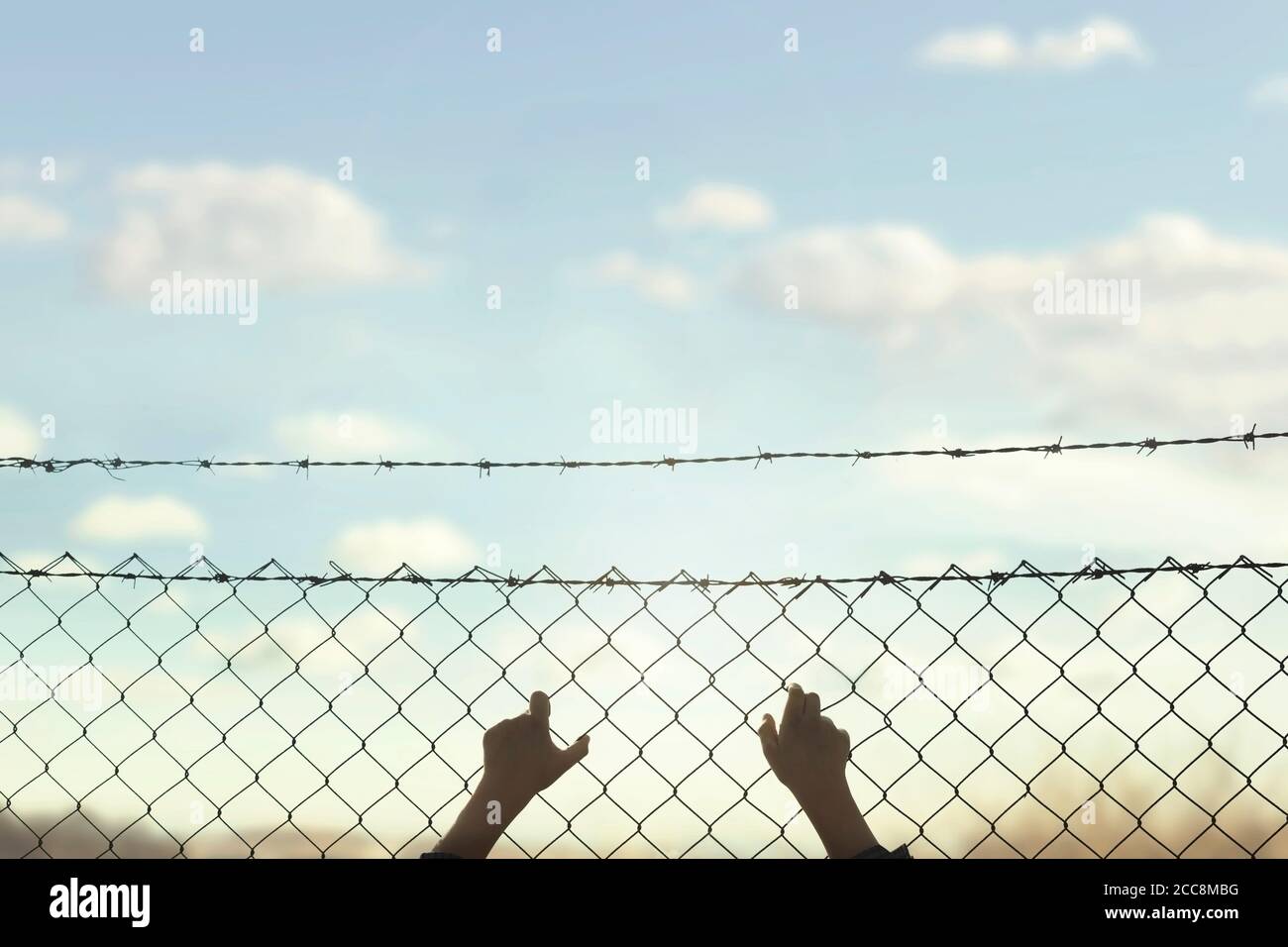 hands of a young man who cling to the hope of freedom beyond a wire mesh Stock Photo