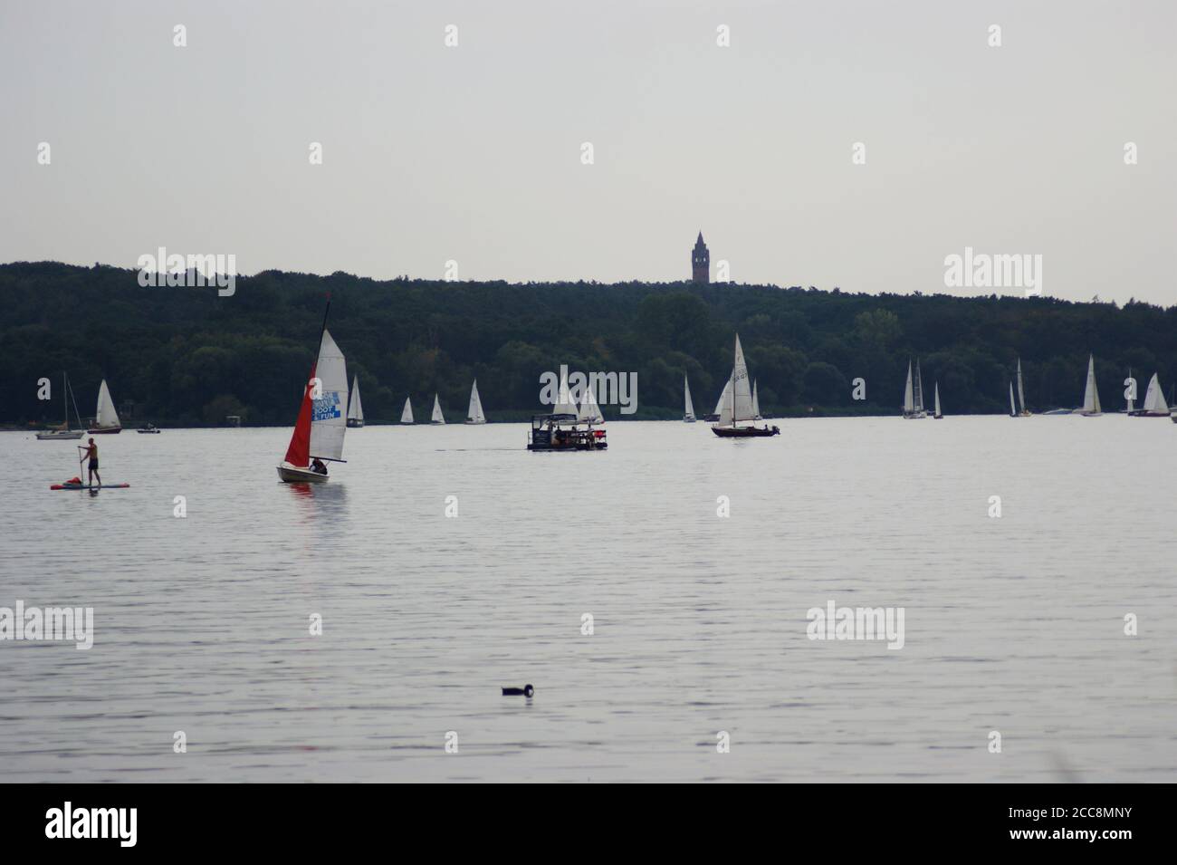 Boote und Stehpaddler auf der Havel in Berlin-Spandau, im Hintergrund der Grunewaldturm Stock Photo
