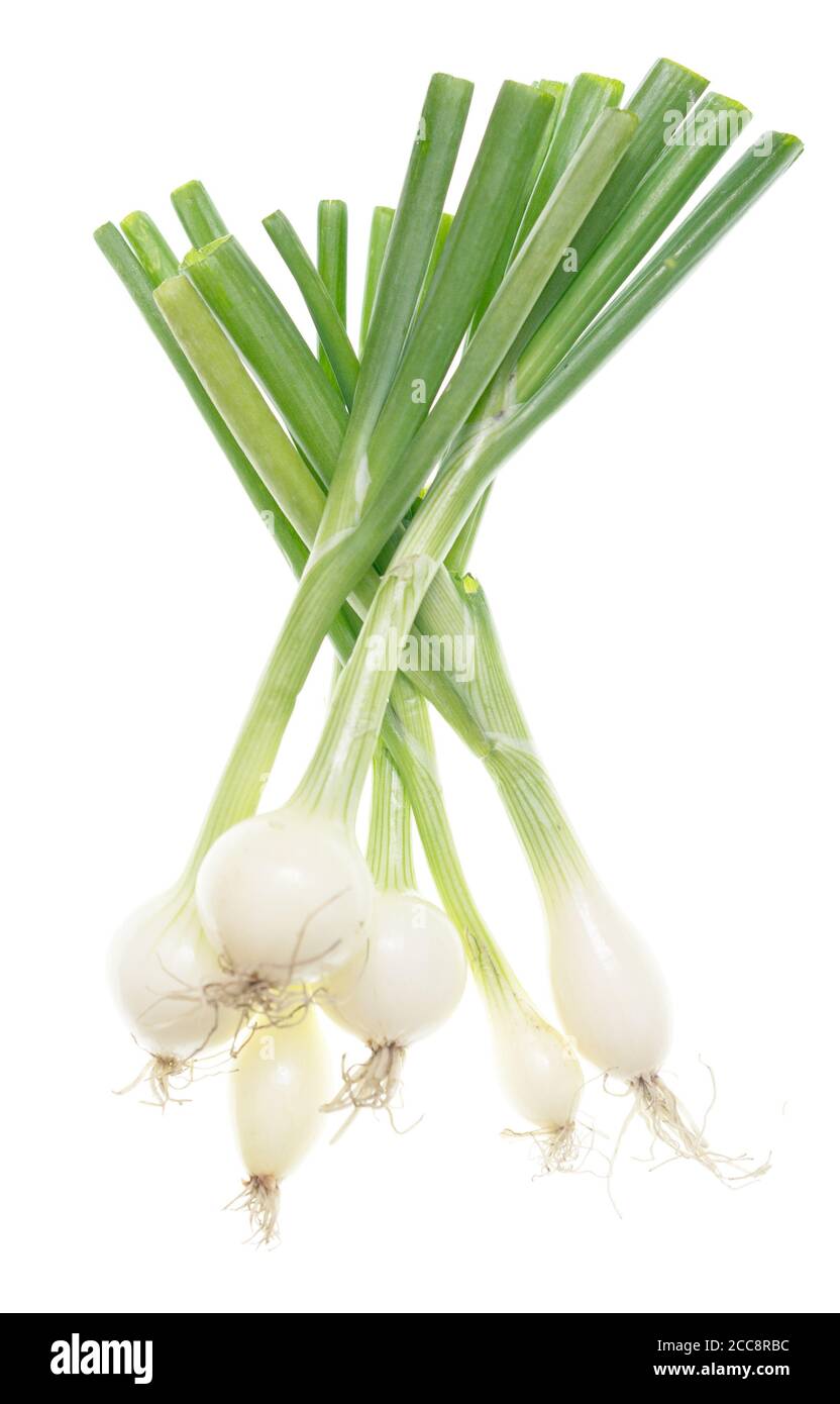 Green onion isolated on white background Stock Photo - Alamy