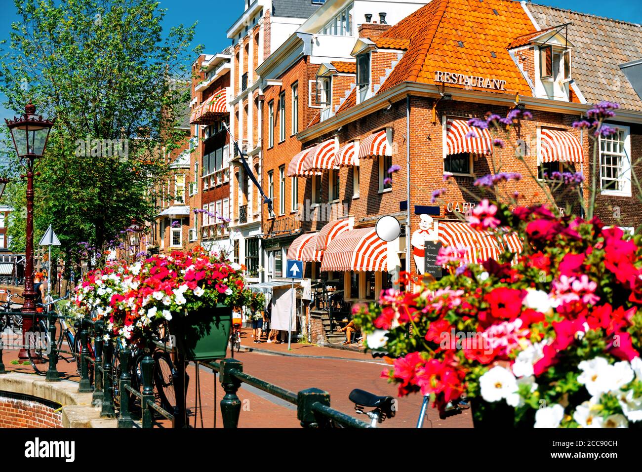 Closeup beautiful flowers in pot on bridge and historical buildings of