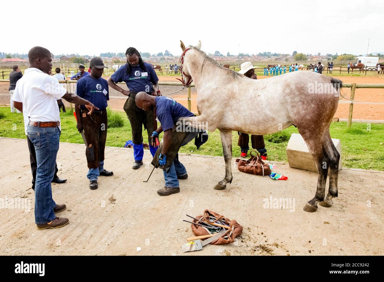 Soweto, South Africa April 16, 2012 Farrier performing maintenance