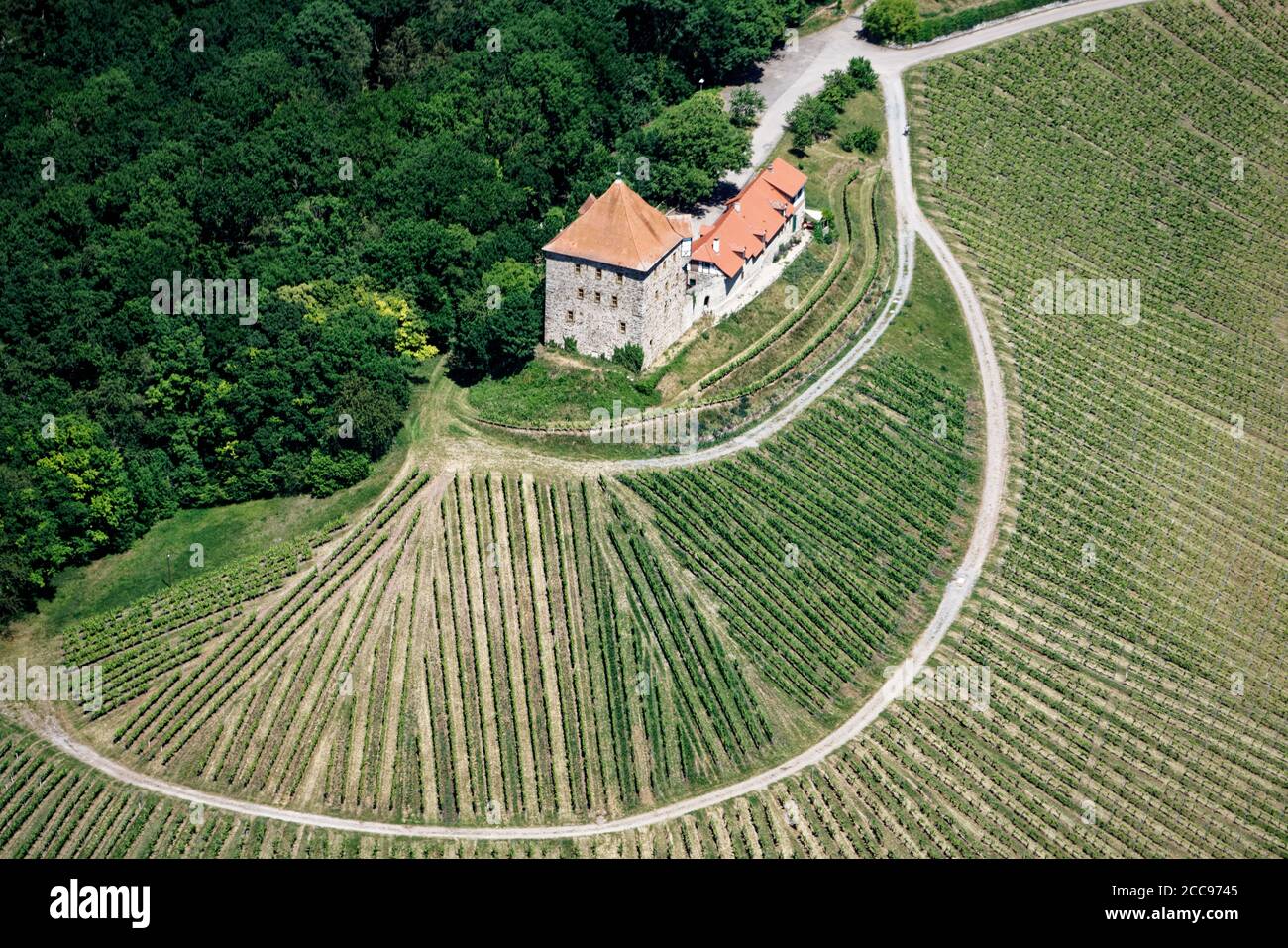 The tower house of Wildeck castle is visible at top of it’s hillside, where a lot of vineyards are. Stock Photo