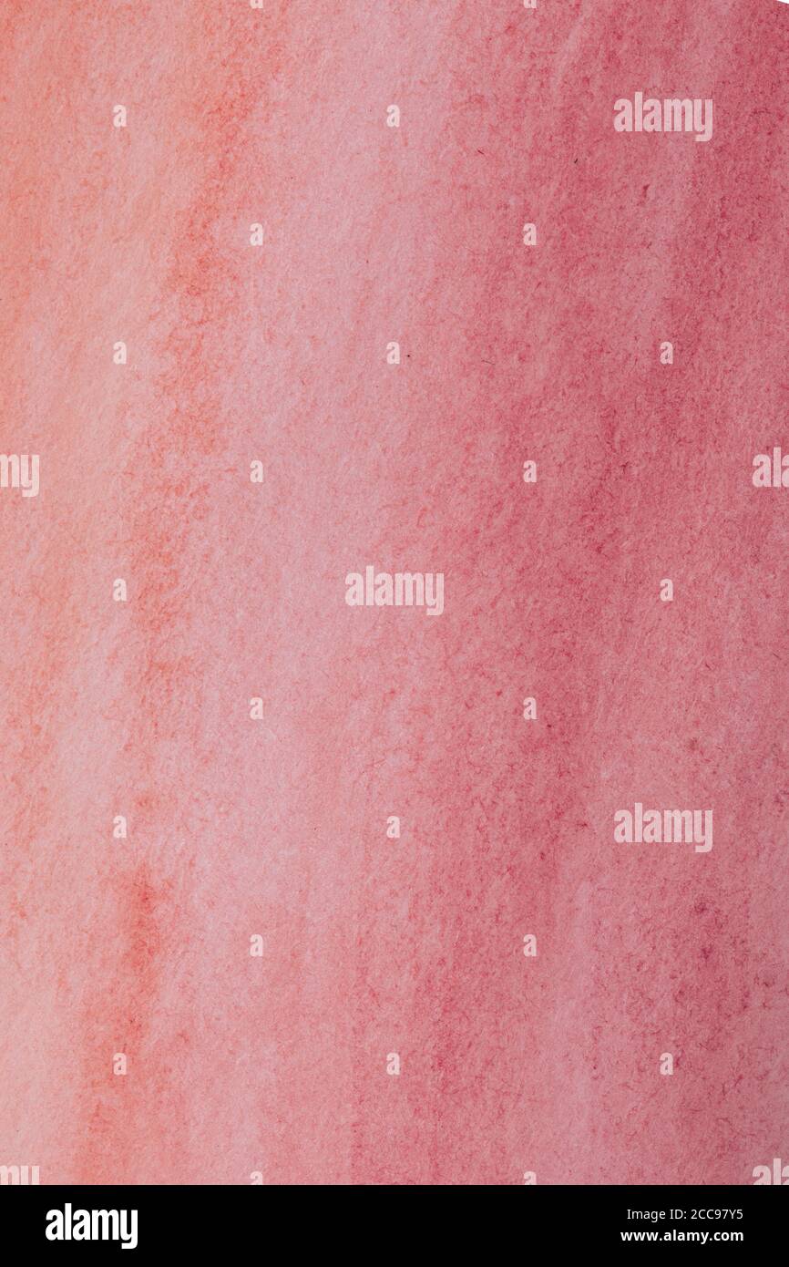 Vertical pink gradient colored paper surface, high resolution texture ...