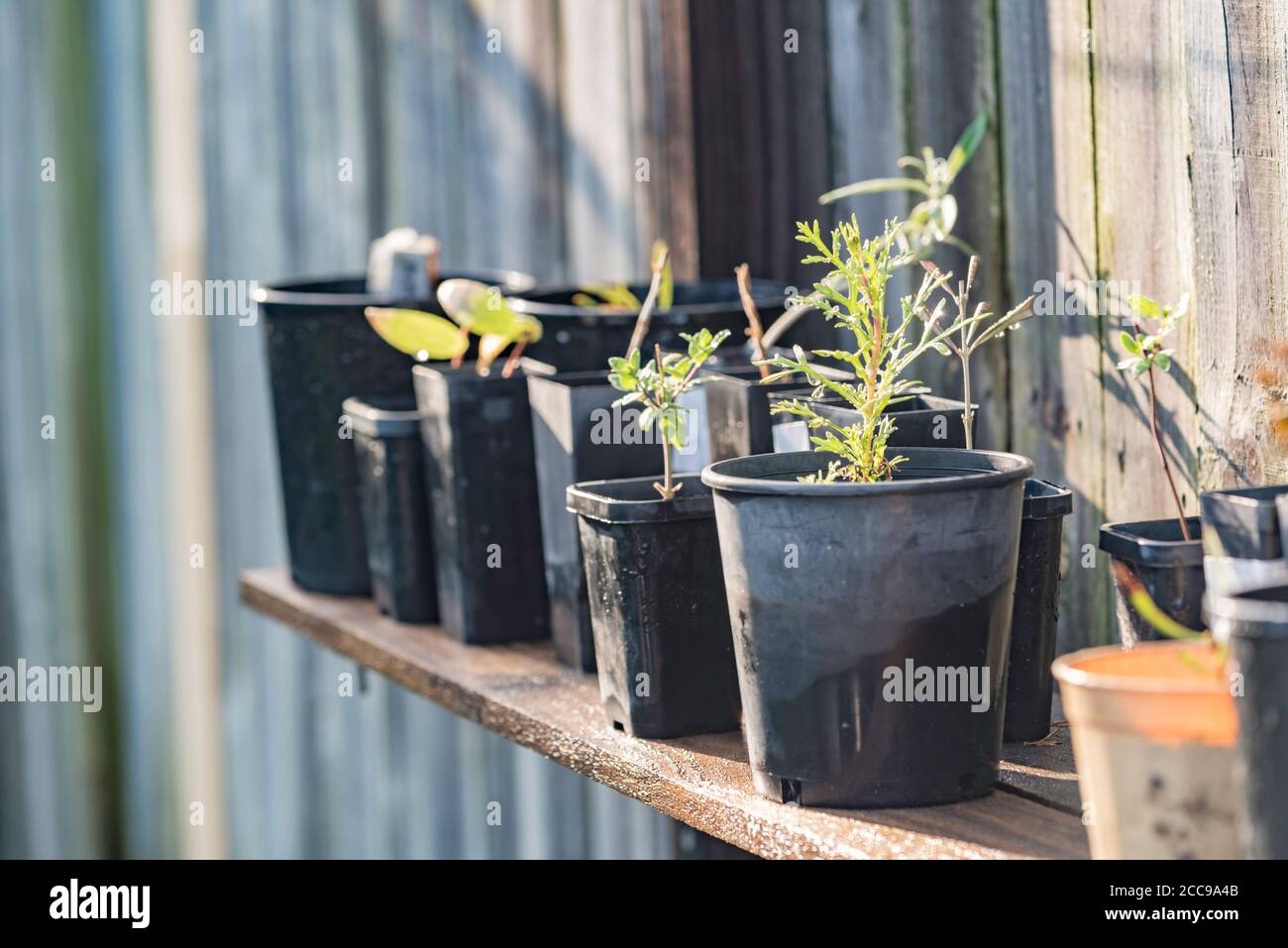 Potting Bench High Resolution Stock Photography and Images Alamy