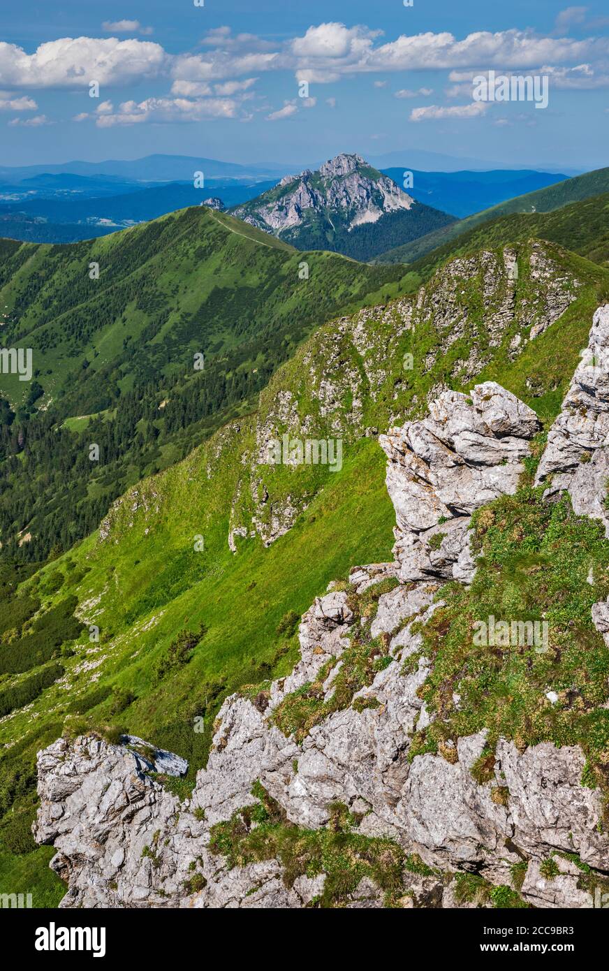 Velky Rozsutec mountain in distance, dolomite-limestone rock formations, trail to Chleb summit, Mala Fatra National Park, Zilina Region, Slovakia Stock Photo