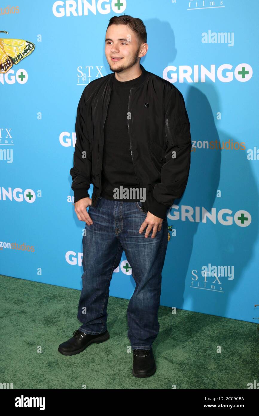 LOS ANGELES - MAR 6: Prince Michael Jackson at the Gringo Premiere at