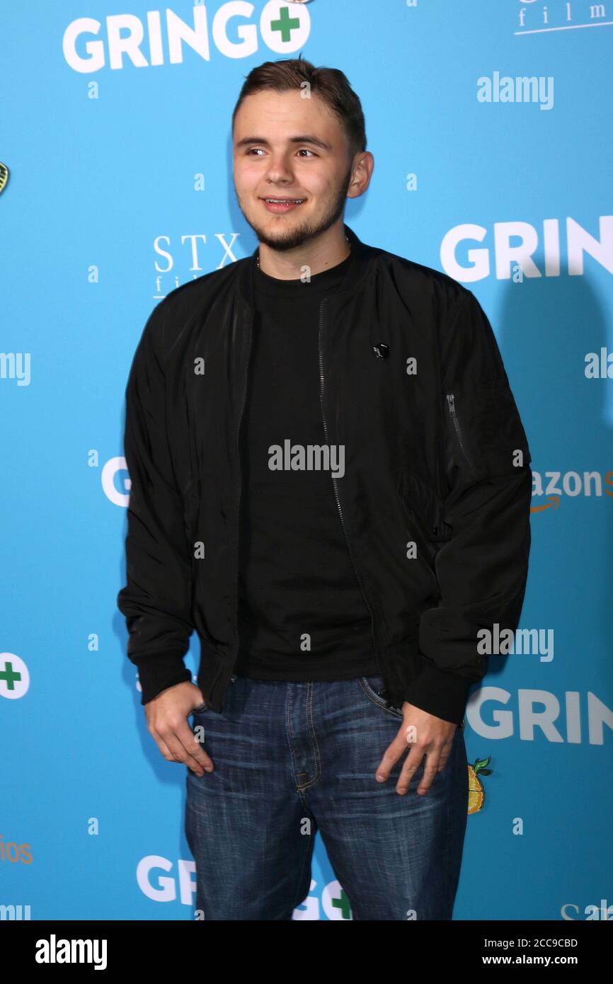 LOS ANGELES - MAR 6: Prince Michael Jackson at the Gringo Premiere at