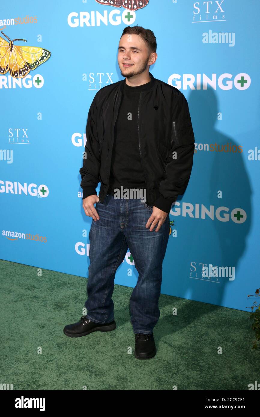 LOS ANGELES - MAR 6: Prince Michael Jackson at the Gringo Premiere at