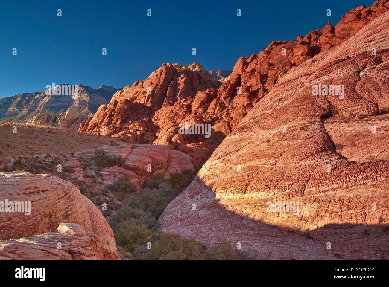 Tourists at Aztec Sandstone outcrop in Calico Hills, sunset, Red Rock