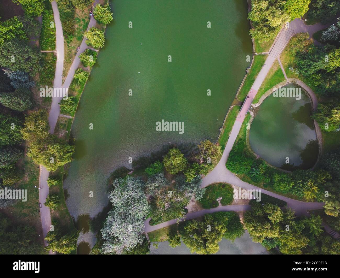 Top down view of trees, pond and alleyways in a park. Drone, aerial view Stock Photo