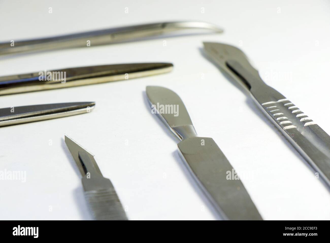 Dissection Kit Premium Quality Stainless Steel Tools for Medical Students of Anatomy, Biology