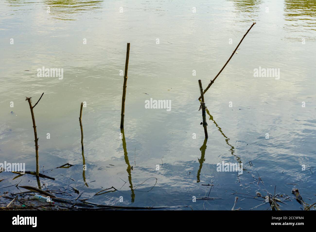 Wooden stakes stubbed into the shallow water, improvised dock, place