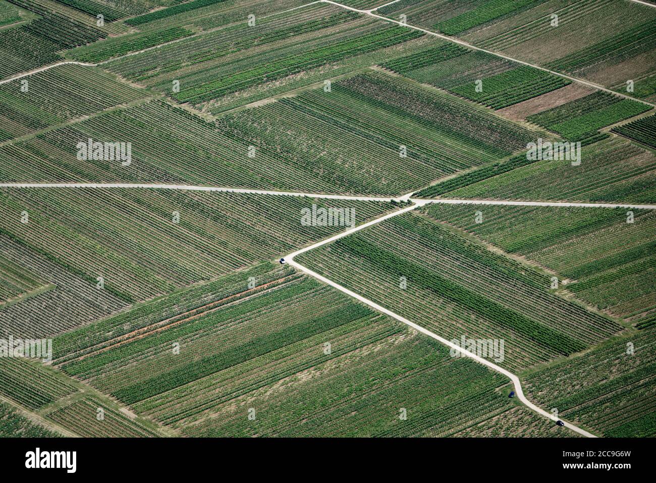Like an abstract painting, but the photo shows vine yards in the Rhine-Valley. Farm lanes are cutting the land lots, where cars of the winemakers park Stock Photo