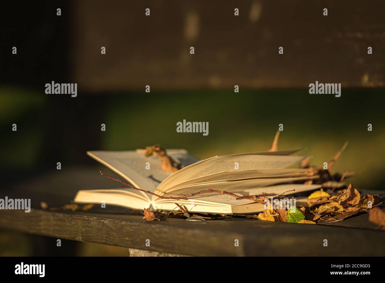 Empty book cover autumn leaves hi-res stock photography and images - Alamy