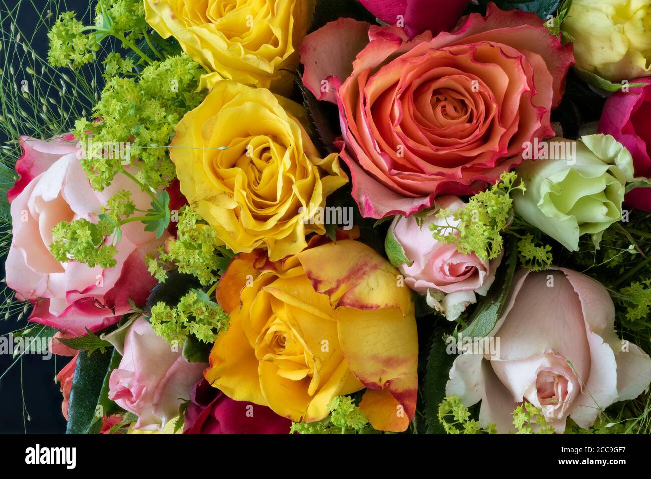 Vibrant colorful  rose bouquet with detailed texture seen from the top Stock Photo