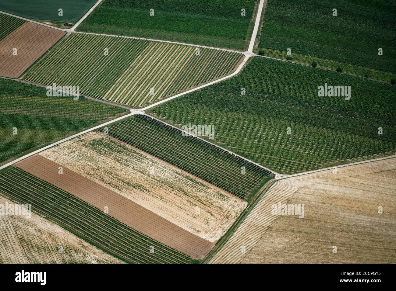 The Rhine Valley is used in many ways by agriculture: many vine yards but also corn fields. This aerial looks very abstract. Stock Photo