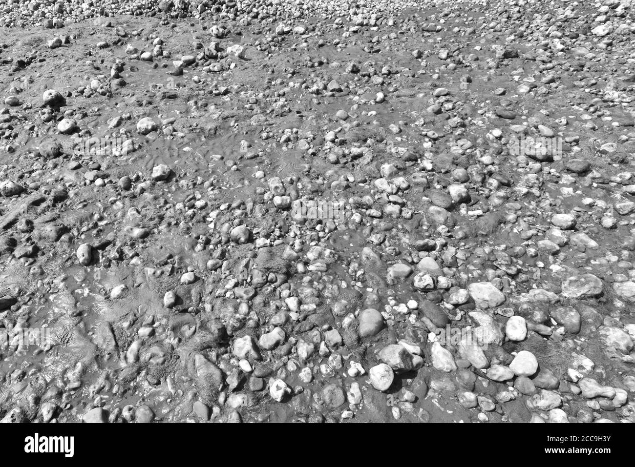 Wet pebbles on the beach Black and White Stock Photos & Images - Alamy