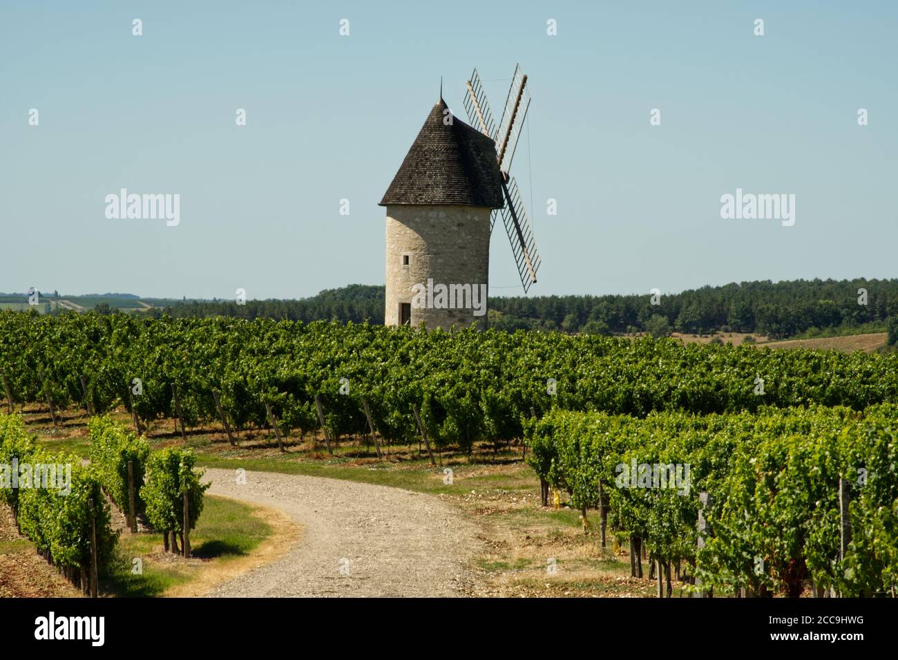 Old windmill in the vineyard at Villeneuve-de-Duras, Lot-et-garonne, France Stock Photo