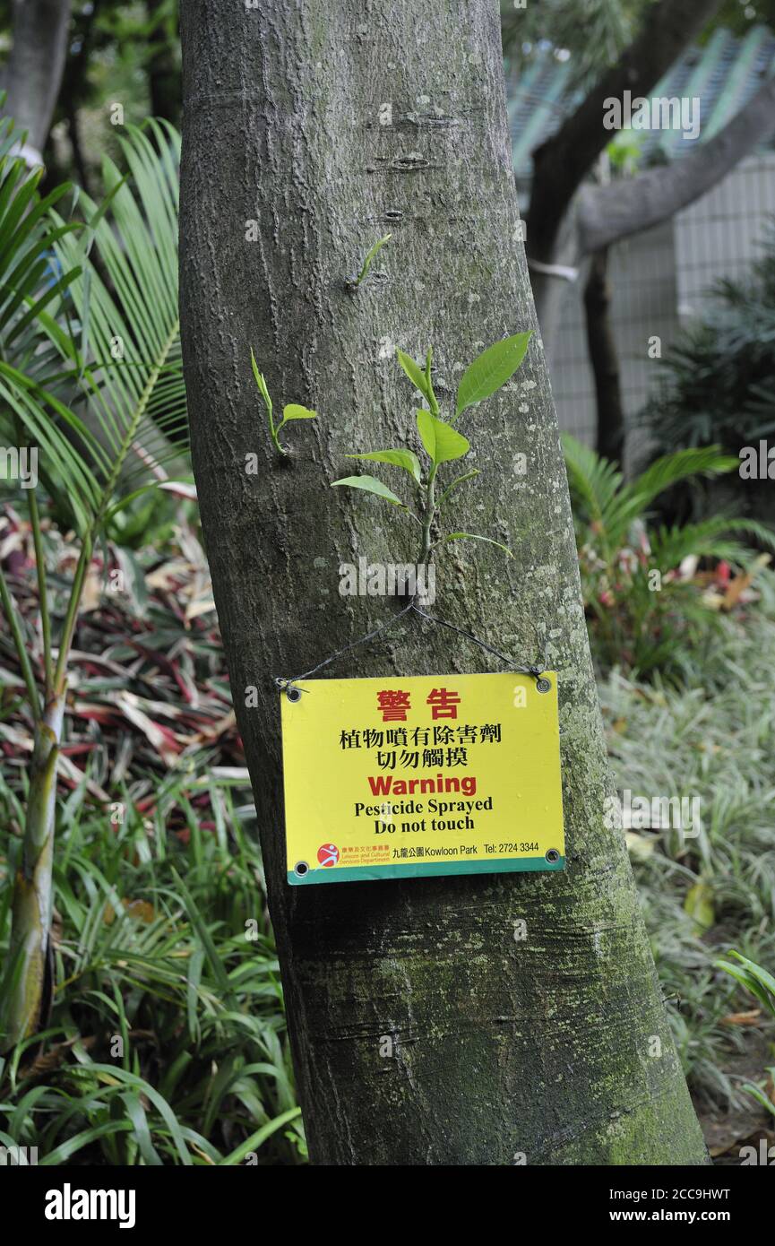 Sign in English and Chinese nailed to a tree, warning of pesticide spraying. Kowloon Park, Kowloon, Hong Kong, China Stock Photo