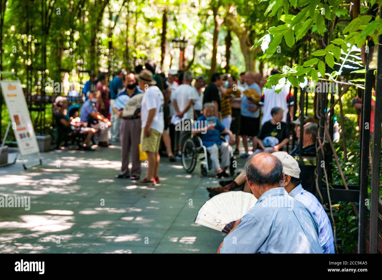 Old people talking on a summer’s Saturday in Shanghai’s Fuxing Park. Stock Photo