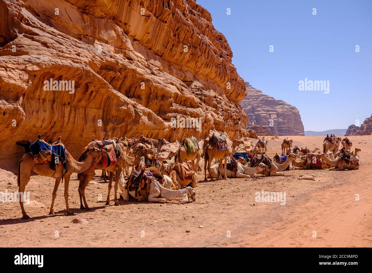 Bedouins in the Wadi Rum Desert, Jordan Stock Photo