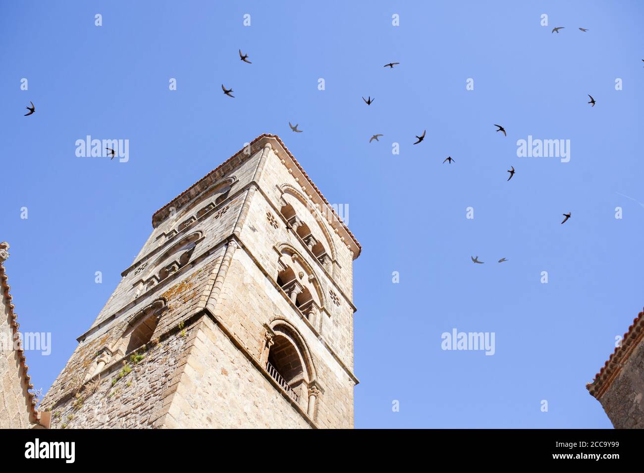 Julia swift hi-res stock photography and images - Alamy