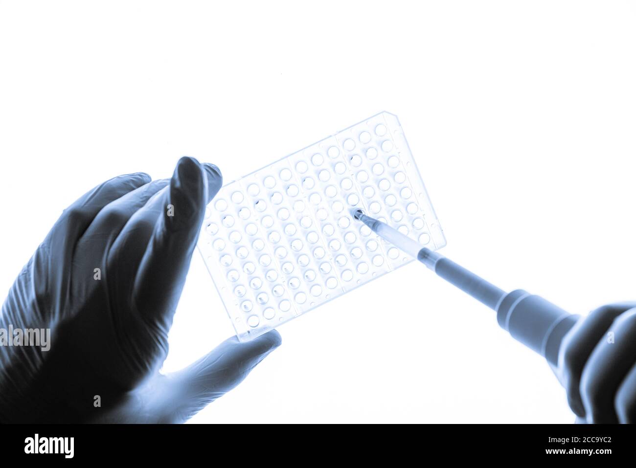 Chemical research in Petri dishes on white background. Experiment in a