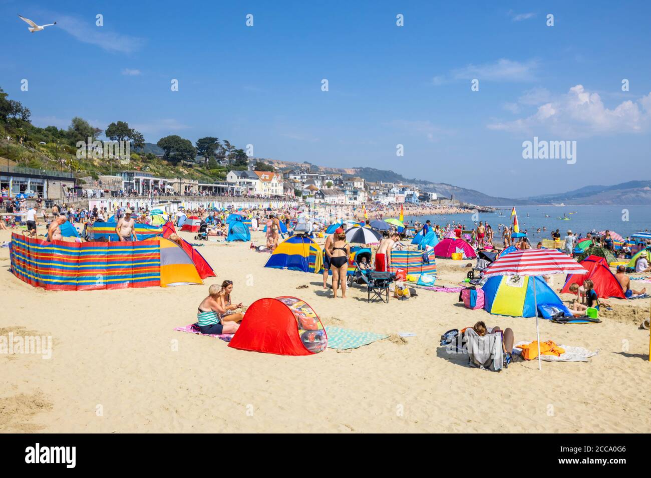Family sunbathing beach lyme regis hi-res stock photography and images ...