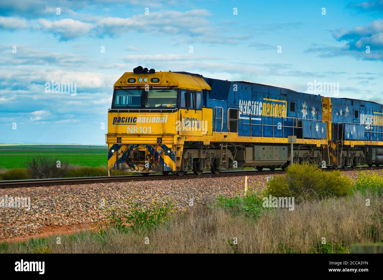 Pacific national, freight transportation, Australian train, railway in South Australia Stock