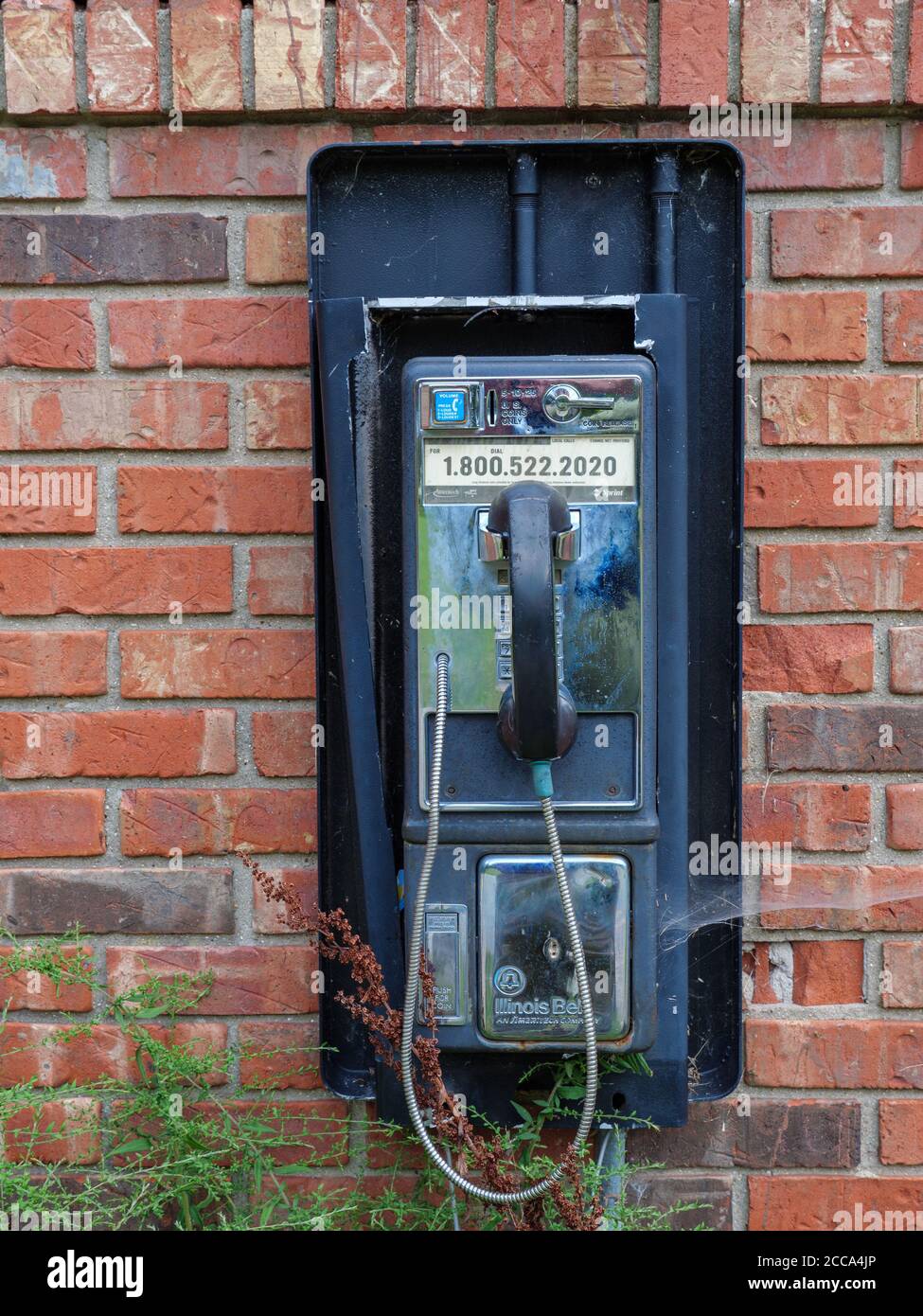 Pay telephone mounted on exterior brick wall. Stock Photo