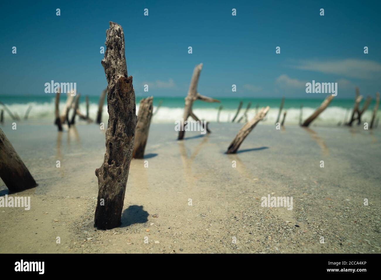 Beer can island hires stock photography and images Alamy