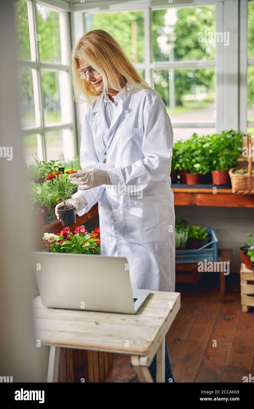 Pleased female botanist looking at the seedlings Stock Photo Alamy