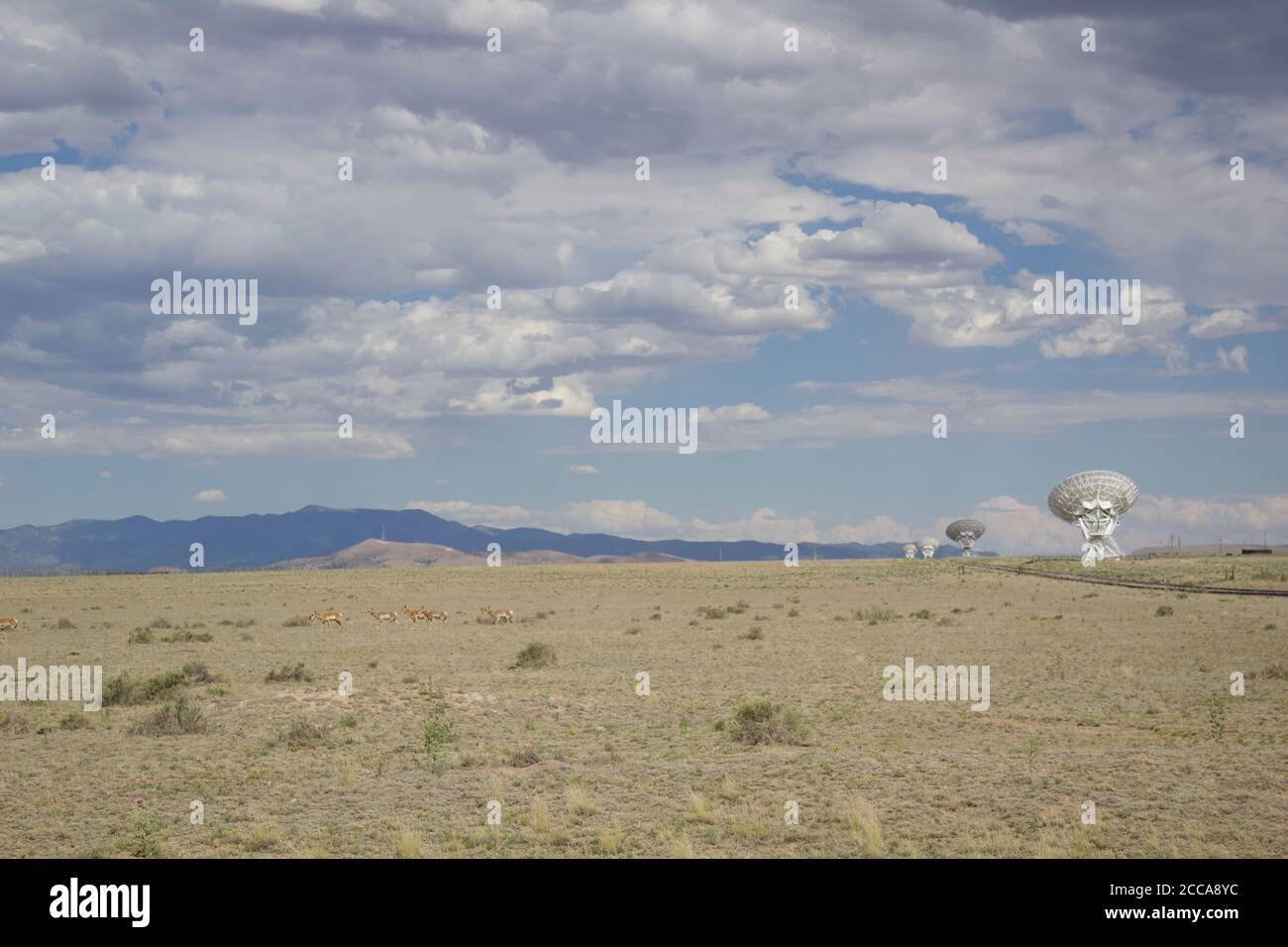 Pronghorns running across a field in front of radio telescopes that are observing the universe at the Very Large Array, New Mexico Stock Photo