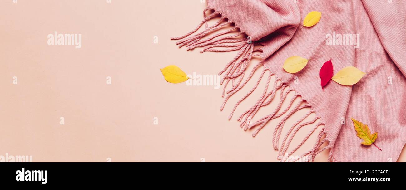 Pink cozy scarf with tassels and scattered leaves on pastel banner. Stock Photo