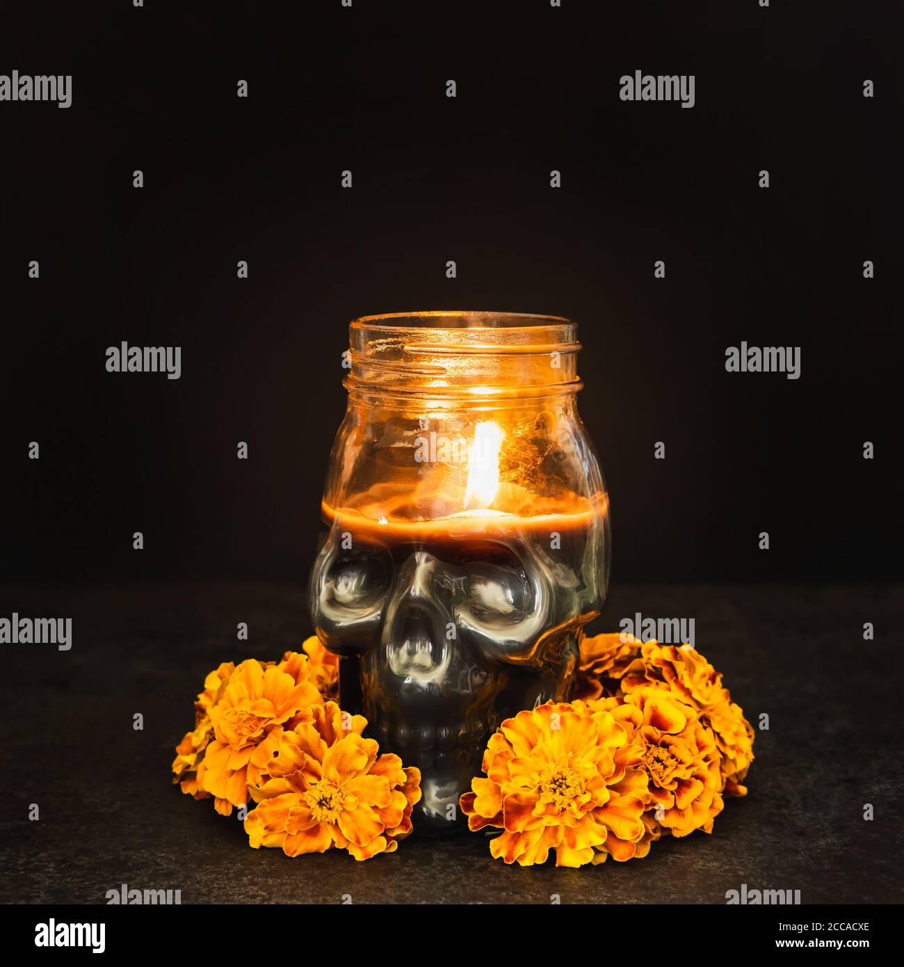 Burning candle Skull with marigold flowers on black background. Dia de