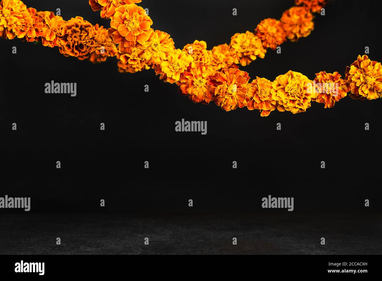Marigold flowers Garlands on black. Dia de los muertos day, day of the ...