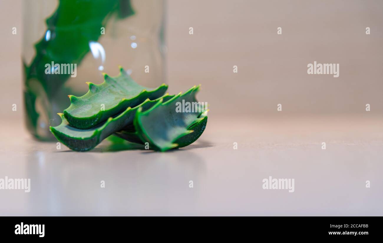 Infusion of Aloe Vera. Aloe vera is a plant known for its medicinal and cosmetic properties