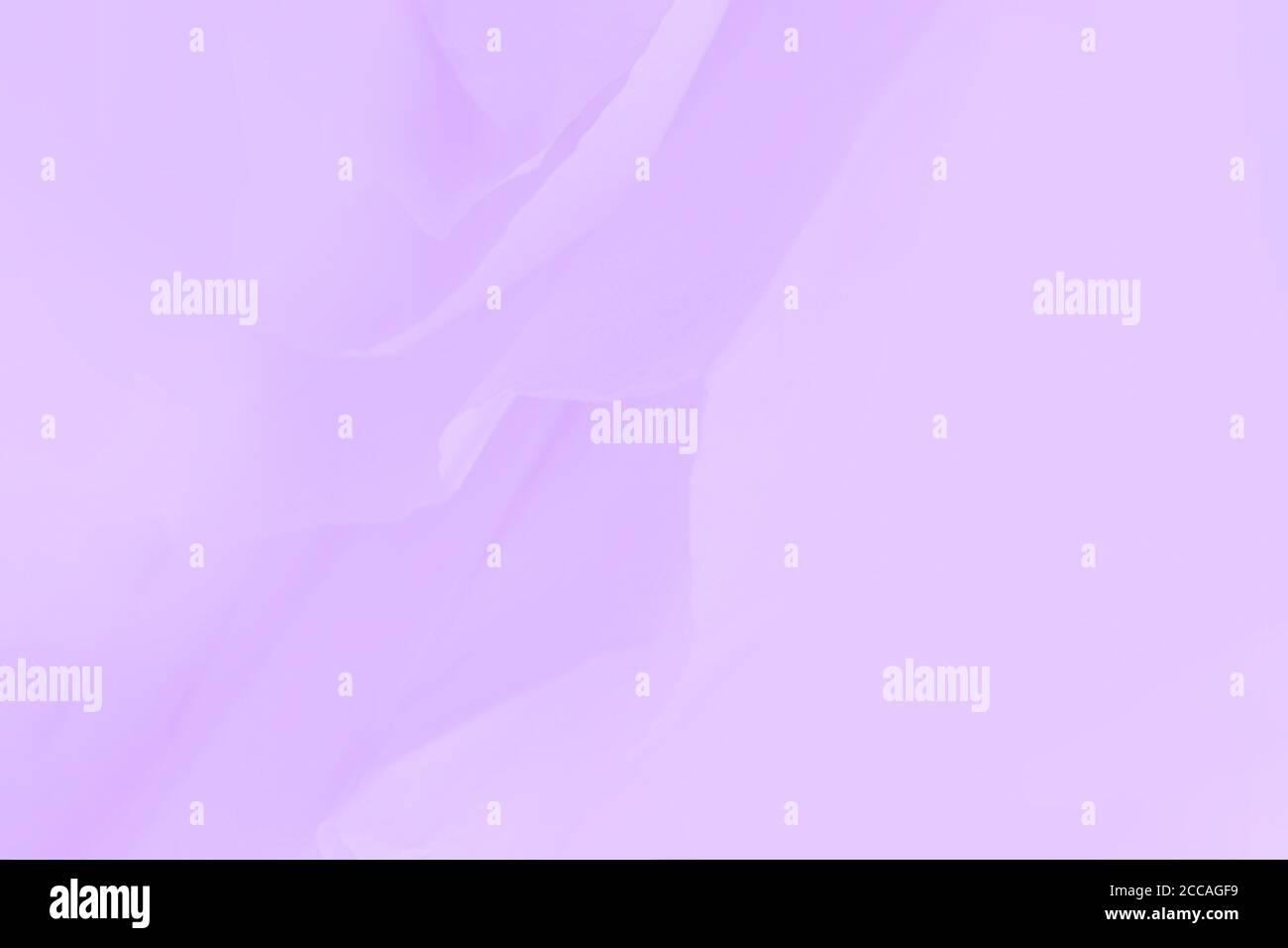 Violet flowing fabric, beautiful light gradient color background Stock Photo