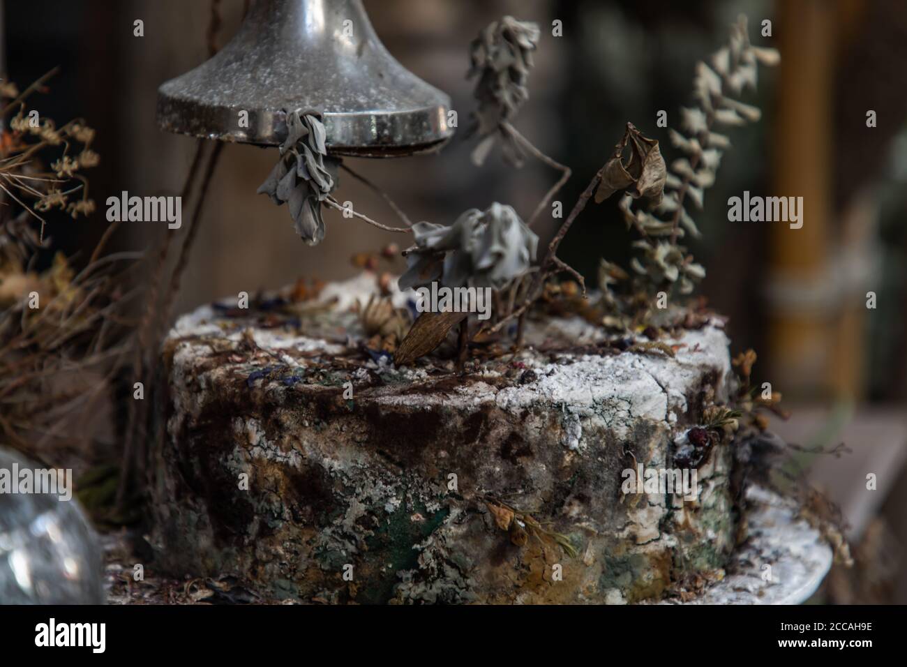 Closeup of Dried flowers on Mockup cake gone mouldy. Vintage shop