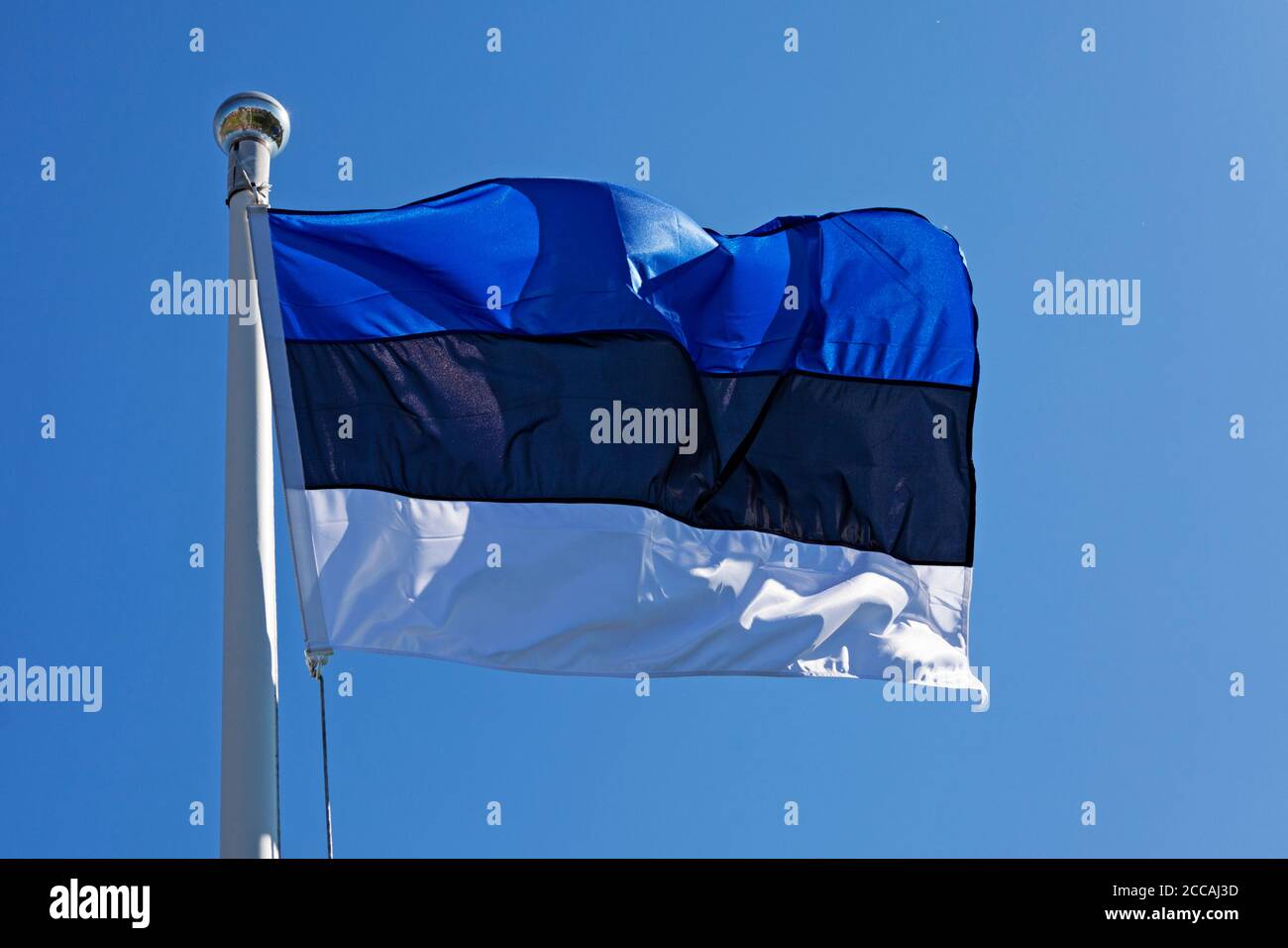 Estonian flag waving wind blue hi-res stock photography and images - Alamy