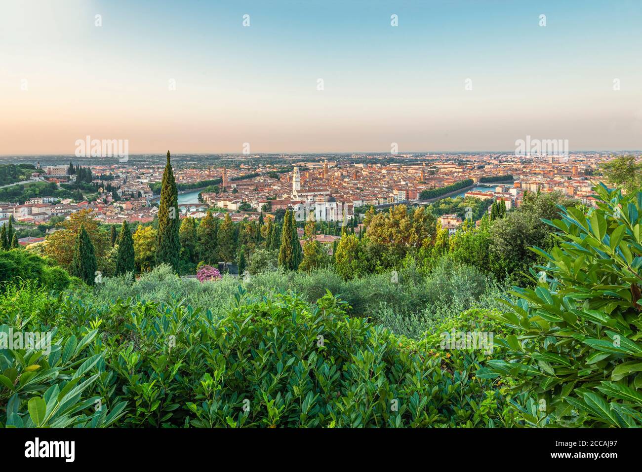 View over green bushes at the Sanctuary of Our Lady of Lourdes on the sunrise over the old town of Verona, Italy Stock Photo