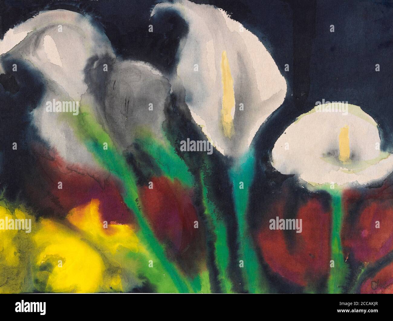 White calla lilies over red and yellow flowers. Museum: PRIVATE COLLECTION. Author: EMIL NOLDE. Stock Photo