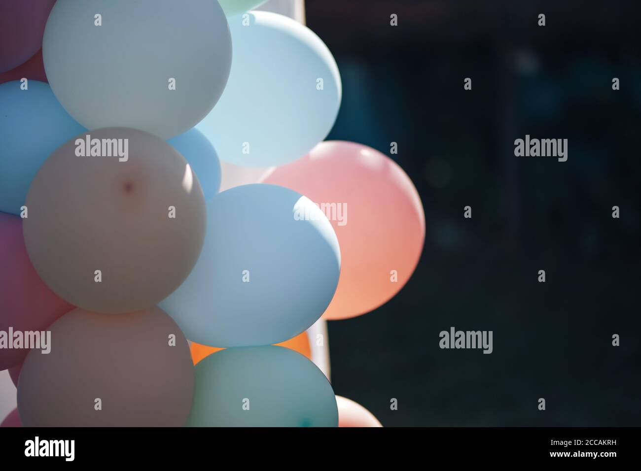 Multicolored balloons are filled with helium and connected to each other Stock Photo