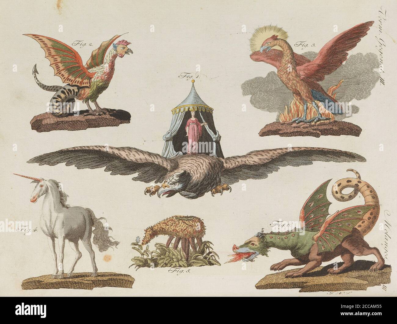 Children's Picture Book (Children's encyclopaedia) by Friedrich Johann