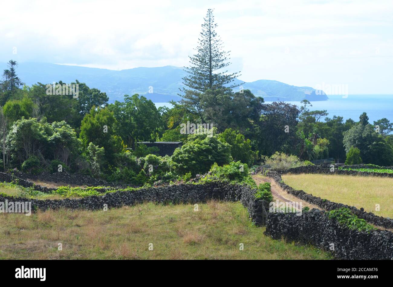 Rural paths amidst vineyards and lush vegetation in Pico island, Azores archipelago Stock Photo