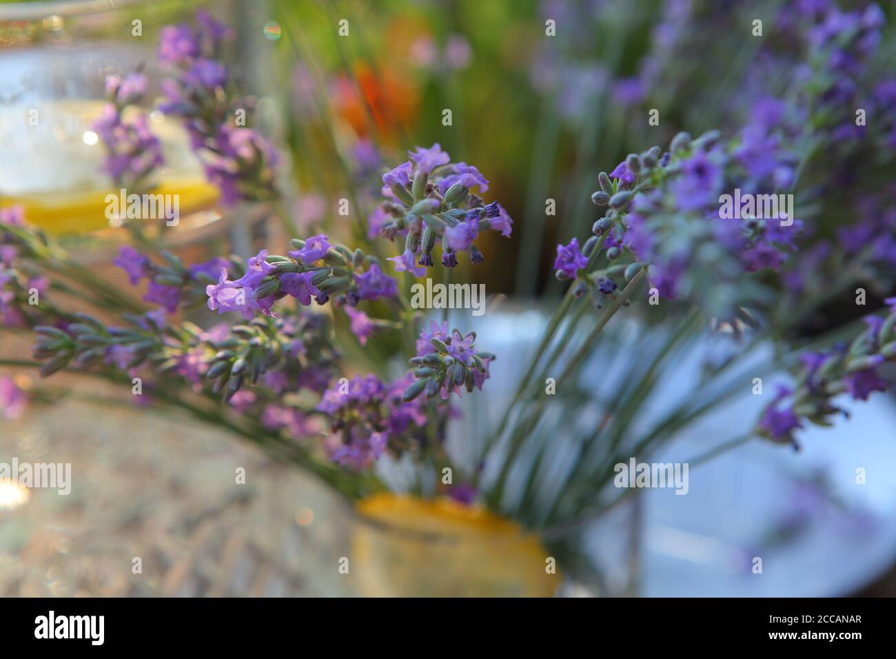 Still life with lavender lemonade Stock Photo - Alamy