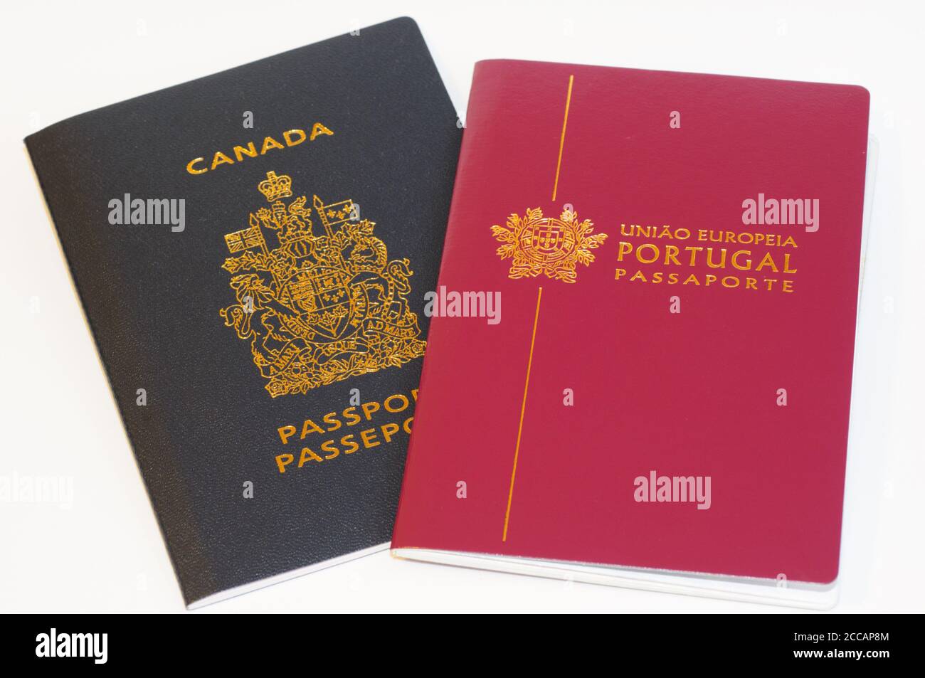 Canadian Passport and Portuguese Passport with a White Background Indicating Dual Citizenship Stock Photo
